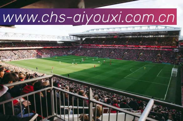 爱游戏官网发展历程